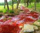 Bir nehir kırmızı manzara